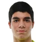 D. Batoyan