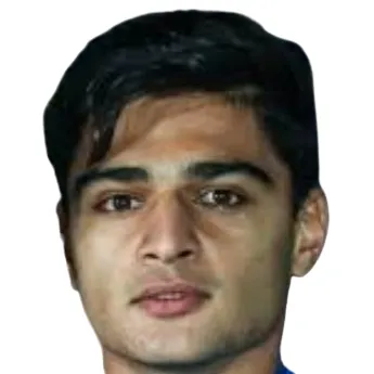 M. Hasheminasab