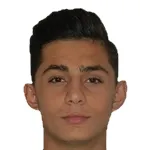 Berke Tamur