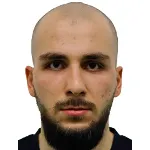 R. Mitsaev
