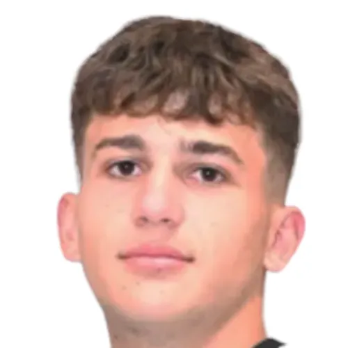M. Papadopoulos