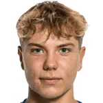 N. Blicher