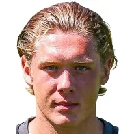 V. Razumejevs