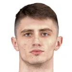 G. Plotnikov