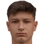 M. Petrovic