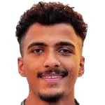 H. Abdelmaguid