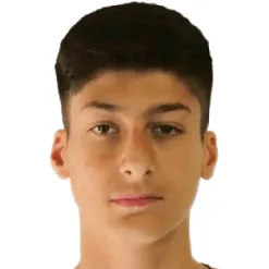 Z. Taylan