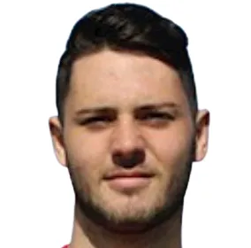 T. Hoyle