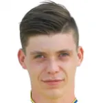 T. Schriebl