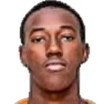 H. Yao