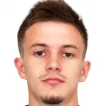 N. Bosancic