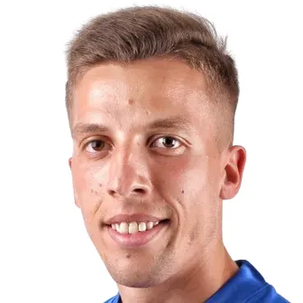 N. Vlajkovic