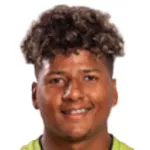 W. Ramírez