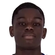 M. Otobo
