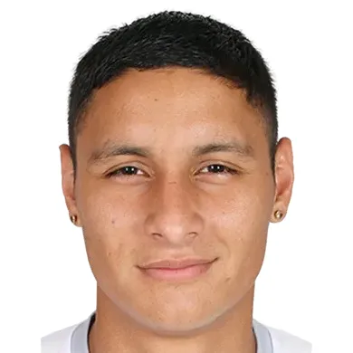 L. Godoy