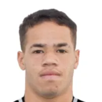 L. Santos