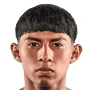 M. Castro