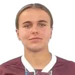 V. Valyuk