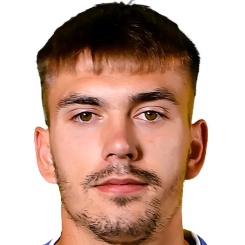 D. Kremchanin