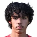 Amir Arli