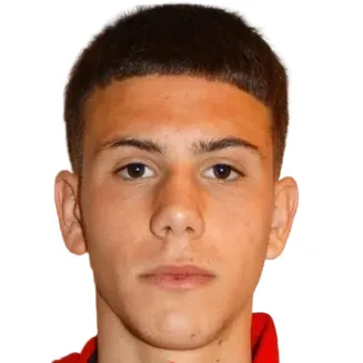 A. Pavlovic