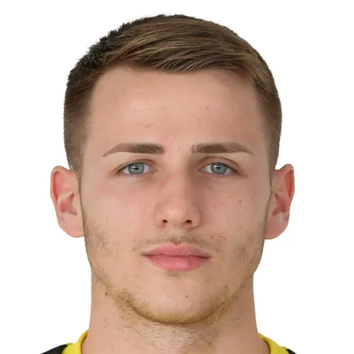 M. Mladenovic