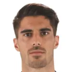 N. Vidal