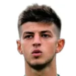 Ender Alkan