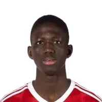 M. Diagne