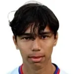 D. van Dijk