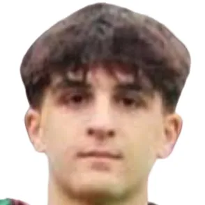 L. Montenegro