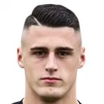 B. Dizdarevic