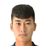 N. Manh Dung