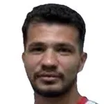 Hamit Hakan Şahiner