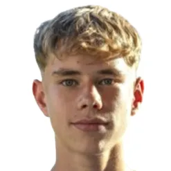 T. Weigel