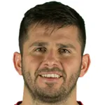 N. Mirkovic