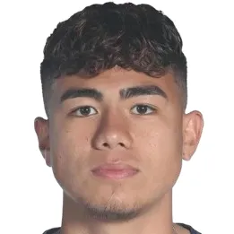 N. Martinez
