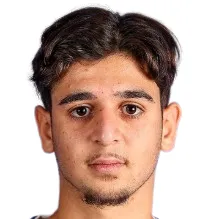 R. Demirci
