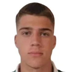 L. Mićić