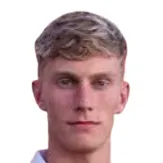 D. Garðarsson