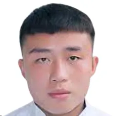 V. Viet Nguyen