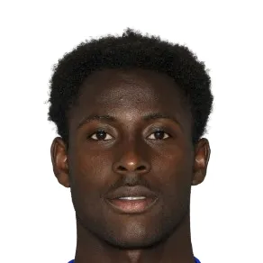 H. Coulibaly