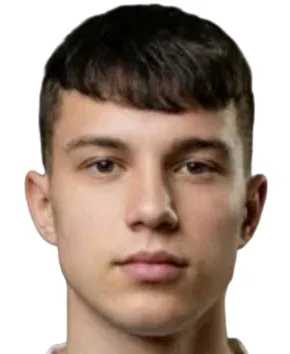 M. Sava