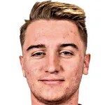D. Mihailovic