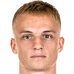 N. Tauer