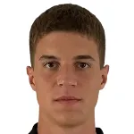 H. Redzic