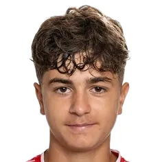 D. Sahin