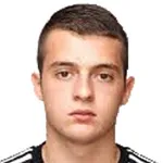 N. Mihajlovic