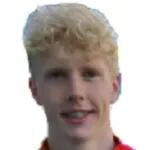 P. Hoel