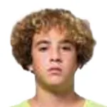 F. Silva